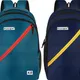 Blue & Dark Blue__Provogue plus
