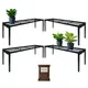Set of 4__FINIKY