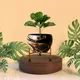 Set of 1__FINIKY