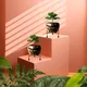 Set of 2__FINIKY