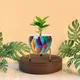 Set of 1__FINIKY