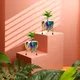 Set of 2__FINIKY