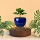 Set of 1__FINIKY