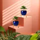 Set of 2__FINIKY