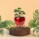 Set of 1__FINIKY