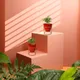 Set of 2__FINIKY