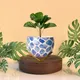 Set of 1__FINIKY