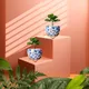 Set of 2__FINIKY