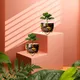 Set of 2__FINIKY