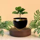 Set of 1__FINIKY