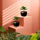 Set of 2__FINIKY