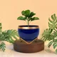 Set of 1__FINIKY