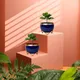 Set of 2__FINIKY