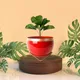 Set of 1__FINIKY