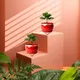 Set of 2__FINIKY