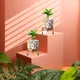 Set of 2__FINIKY