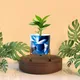 Set of 1__FINIKY