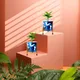 Set of 2__FINIKY