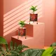 Set of 2__FINIKY