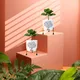 Set of 2__FINIKY