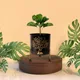 Set of 1__FINIKY