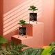 Set of 2__FINIKY