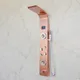 Rose Gold__Raj Lifestyle