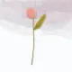 Peach__Litl Meu
