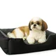 Black-Grey__unique pet collection