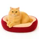 Red__unique pet collection