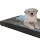 Microsuede in Gray__unique pet collection