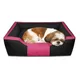 Black with Pink__unique pet collection
