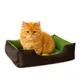 Green-Brown__unique pet collection