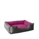 Grey-Pink__unique pet collection
