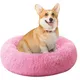 Pink__unique pet collection