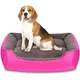 Pink & Brown__unique pet collection