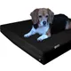 Canvas in Black__unique pet collection
