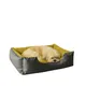 Yellow-Grey__unique pet collection
