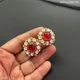 Red__Aganya Kreation