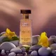 100ml__The Body Essence