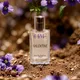 25ml__The Body Essence