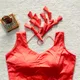 Gajri__Anantdiva Attire