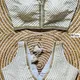 White__Anantdiva Attire