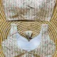 White__Anantdiva Attire