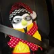 Yellow & Black__Bobbleheads & More By Insain