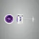 Purple__Betterzo
