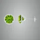 Green__Betterzo