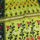 Yellow Green__Anjali sharee