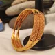 Gold__The Varsha