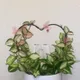 Black__Akifi Craft